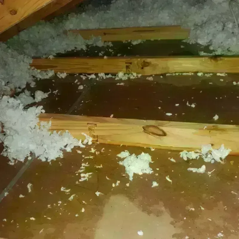 Attic Water Damage in Wykagyl, NY